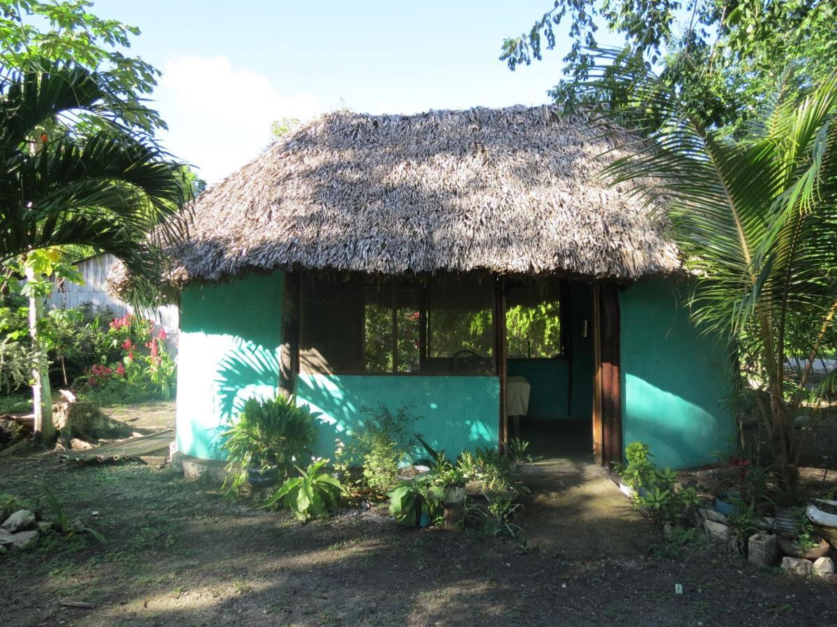 Cabanas Calakmul Villa Conhuas Kültér fotó