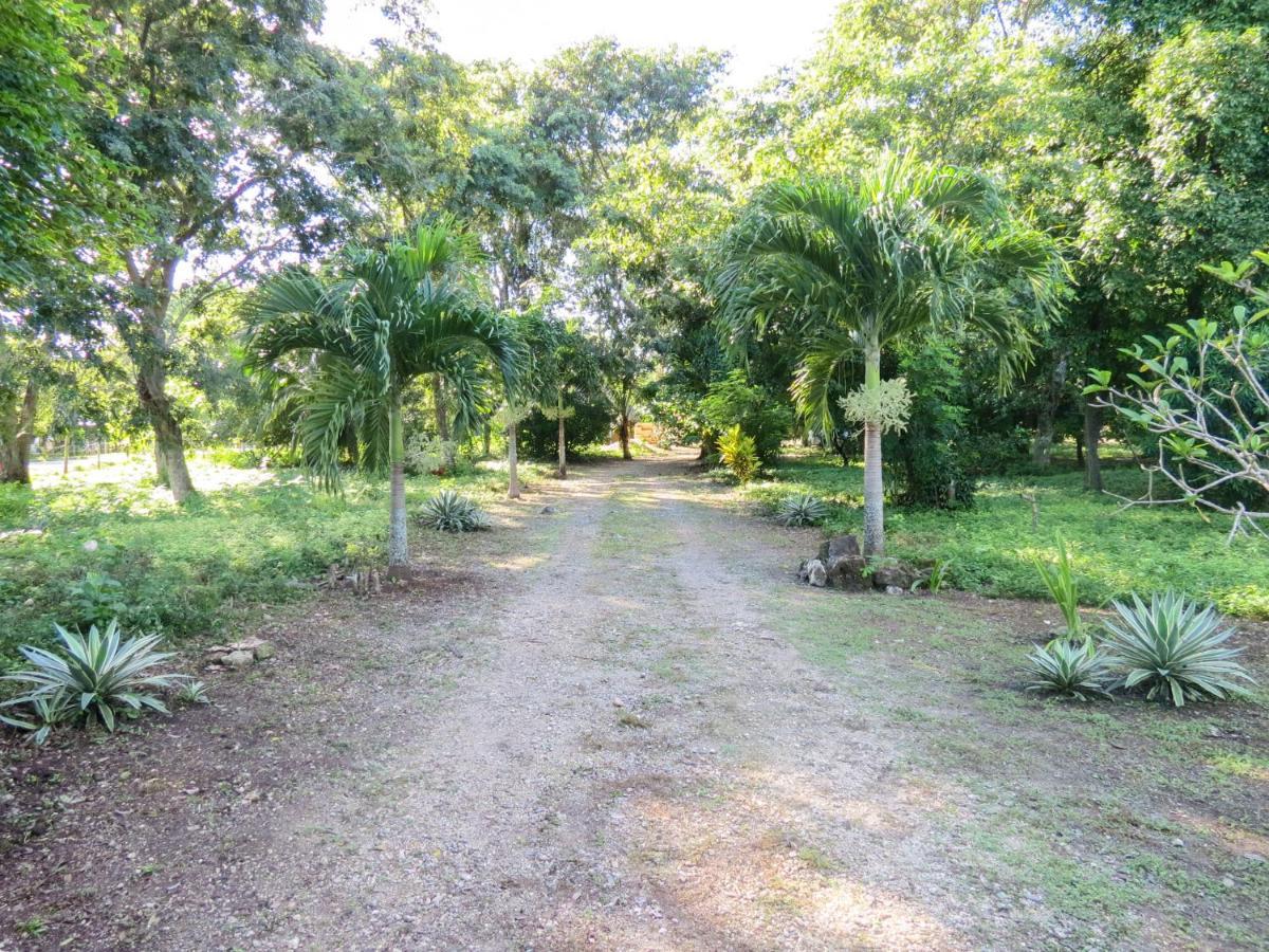 Cabanas Calakmul Villa Conhuas Kültér fotó